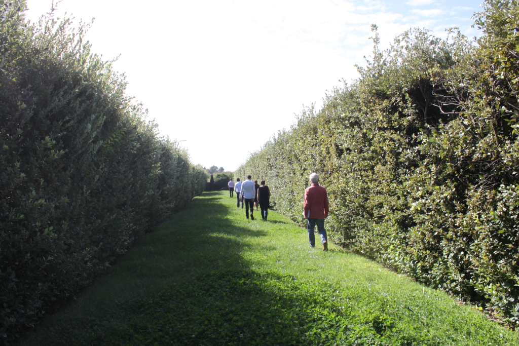 Transition écologique paysage cleantech vallée