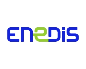 Logo ENEDIS partenaire CleanTech Vallée